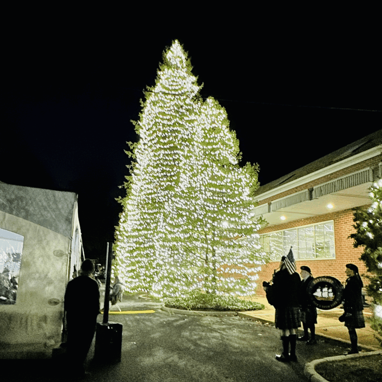 Trees of Lt 2 11.14.25 edited